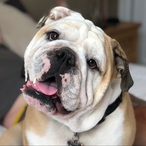 Meet your Posher, Candace